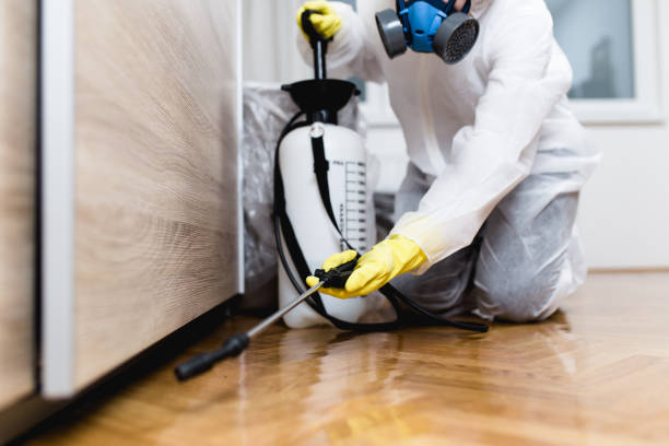Best Local Pest Control Services  in Johnson, AR