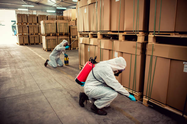 Flea Control Services in Johnson, AR