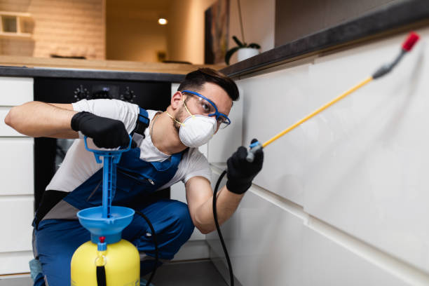 Best Commercial Pest Control Services  in Johnson, AR