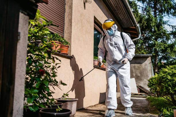 Best Affordable Pest Control Services  in Johnson, AR