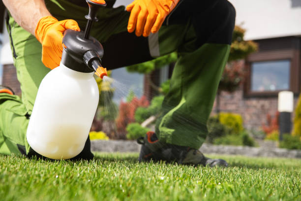 Trusted Johnson, AR Pest Control Experts