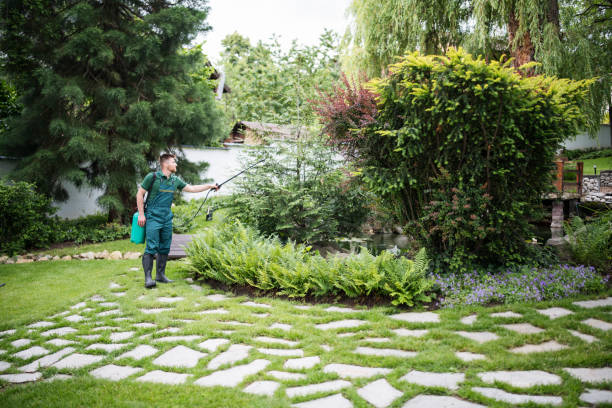 Best Pest Prevention Services  in Johnson, AR