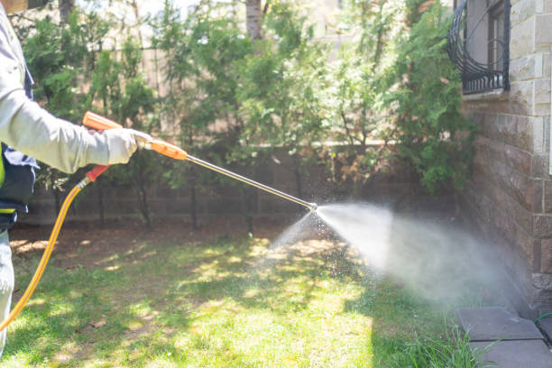 Best Pest Control for Homes  in Johnson, AR