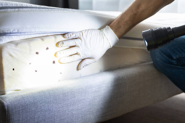Best Commercial Pest Control Services  in Johnson, AR