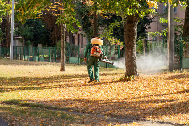 Best Rat Extermination Near Me  in Johnson, AR