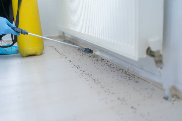 Best Affordable Pest Control Services  in Johnson, AR