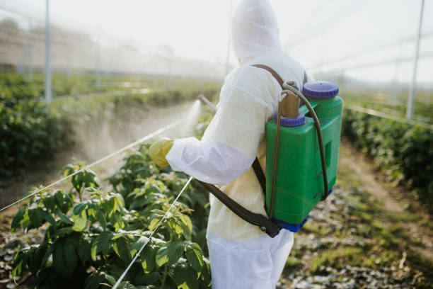 Best Affordable Exterminators  in Johnson, AR